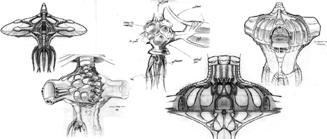DSConceptDrawings.gif